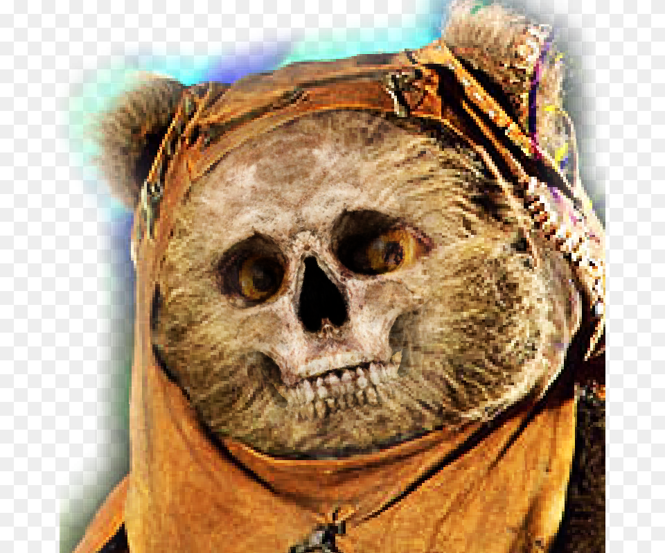 Funny Ewok, Adult, Male, Man, Person Free Transparent Png