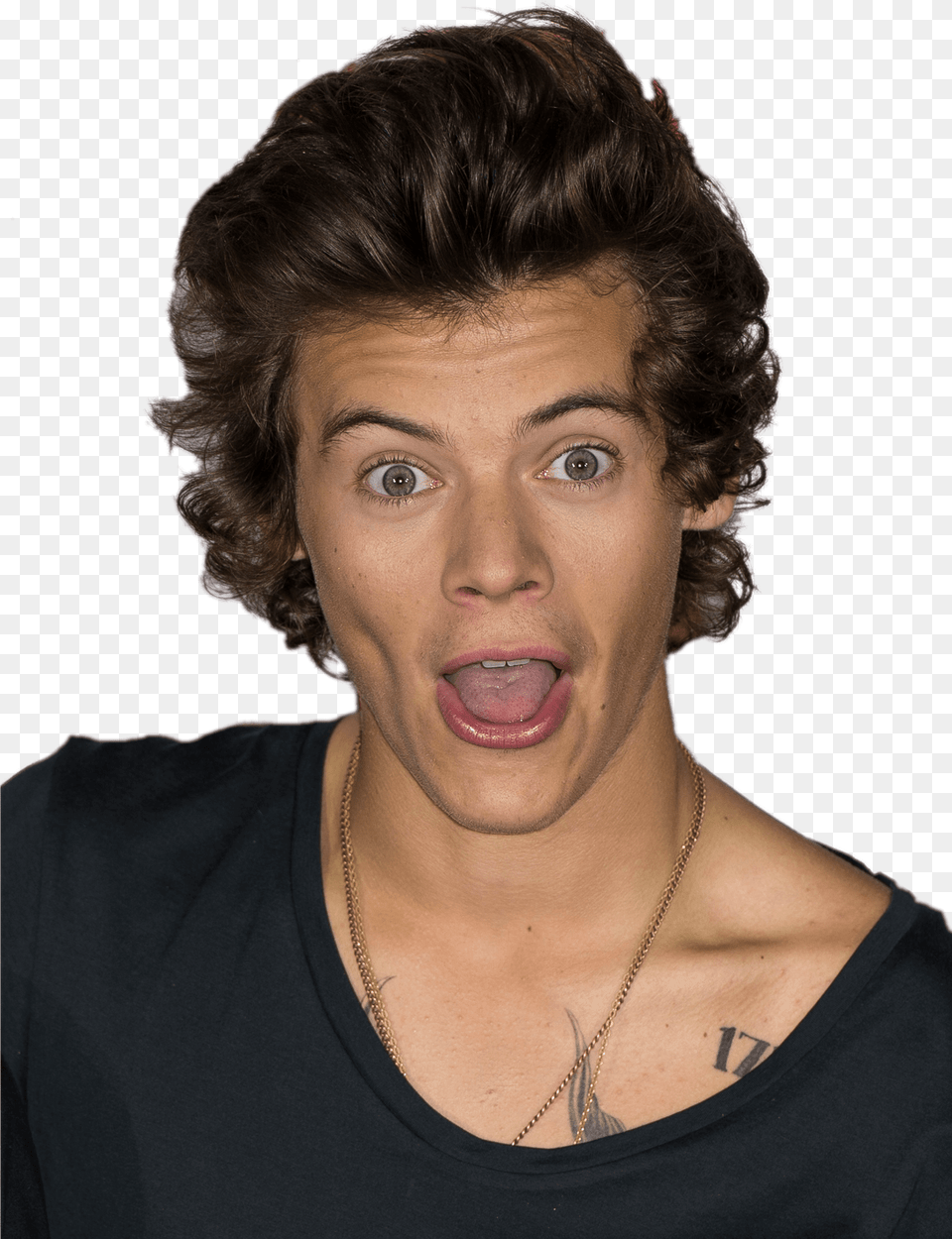 Funny Face Harry Styles, Head, Person, Woman, Adult Png