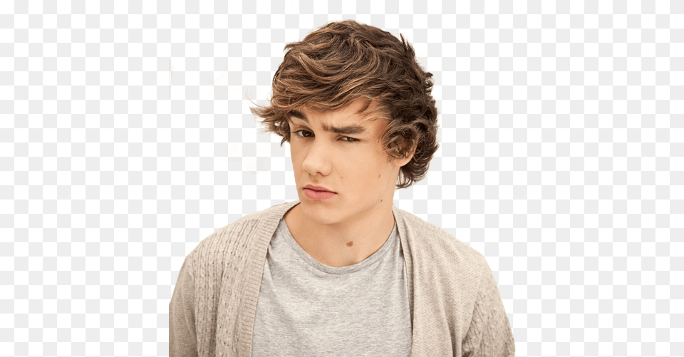 Funny Faces I Love One Direction Liam Liam Payne, Portrait, Face, Head, Photography Png