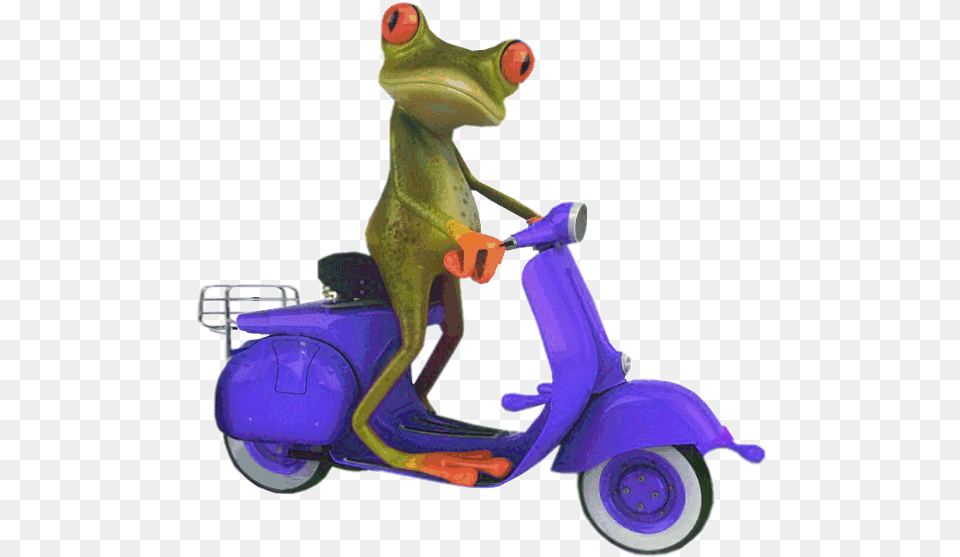 Funny Frog Art Paintings, Vehicle, Transportation, Motorcycle, Device Png