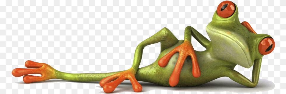 Funny Hd, Amphibian, Animal, Frog, Wildlife Png