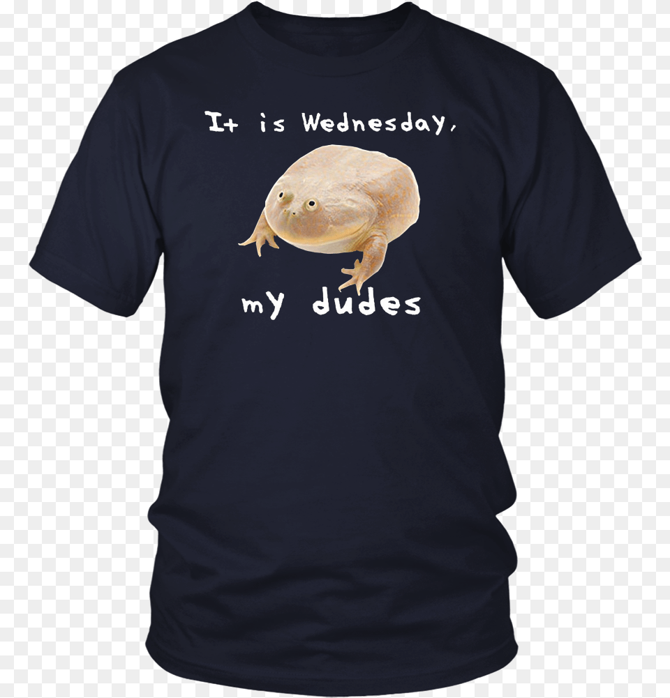 Funny It Is Wednesday My Dudes Frog Meme T Shirt Donald J Trump Border Wall Construction Co, Clothing, T-shirt, Animal Png