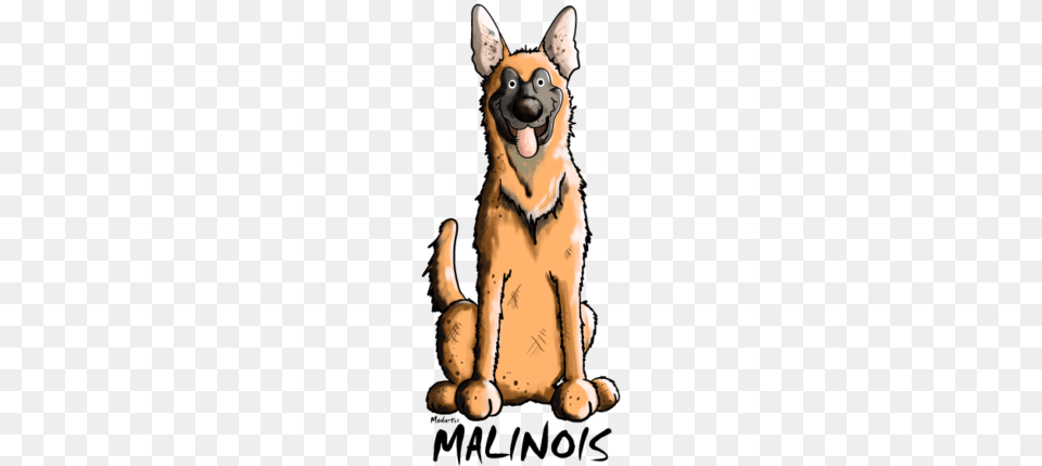 Funny Malinois, Animal, Canine, Dog, German Shepherd Free Png