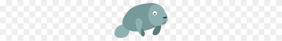 Funny Manatee, Animal, Mammal, Baby, Person Free Png Download