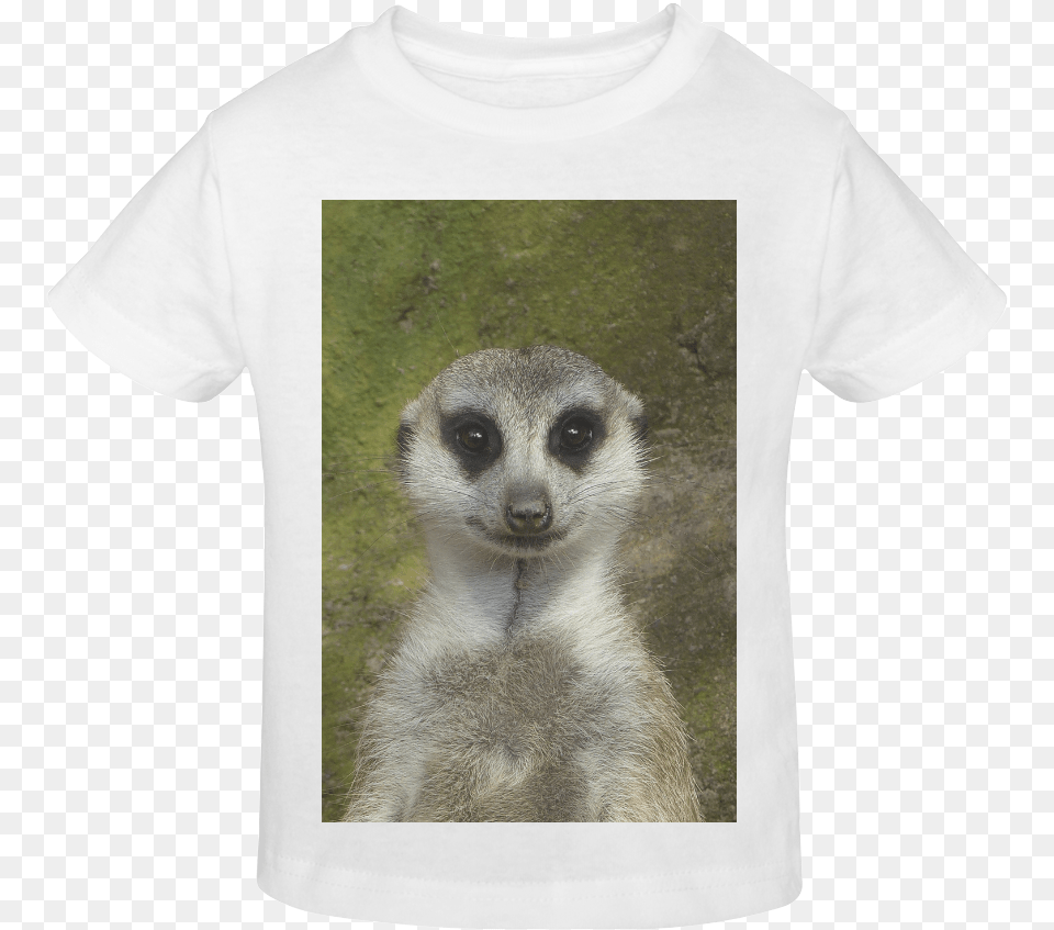 Funny Meerkat 001 Sunny Youth T Shirt Meerkat, Clothing, T-shirt, Animal, Wildlife Free Png Download
