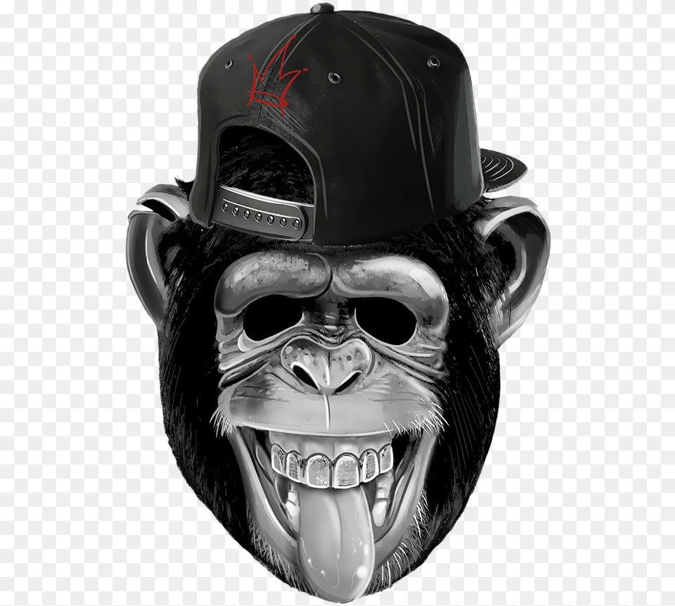 Funny Monkey, Helmet Png Image