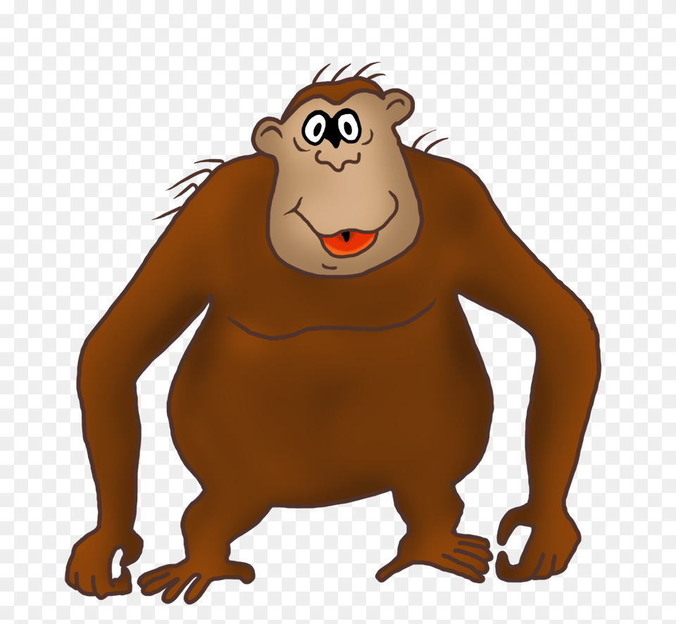 Funny Monkey Drawings, Animal, Bear, Mammal, Wildlife Png Image