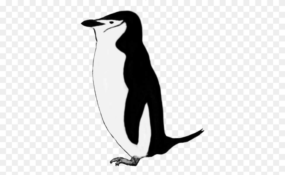 Funny Penguin Clip Art, Adult, Female, Person, Woman Free Png