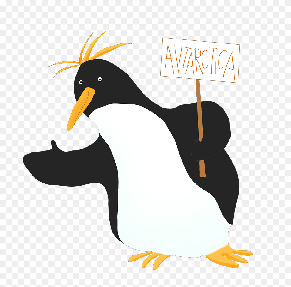 Funny Penguin Clip Art, Animal, Bird, Person Free Transparent Png