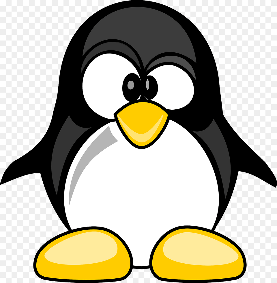 Funny Penguin Clipart, Animal, Bird, Fish, Sea Life Png Image