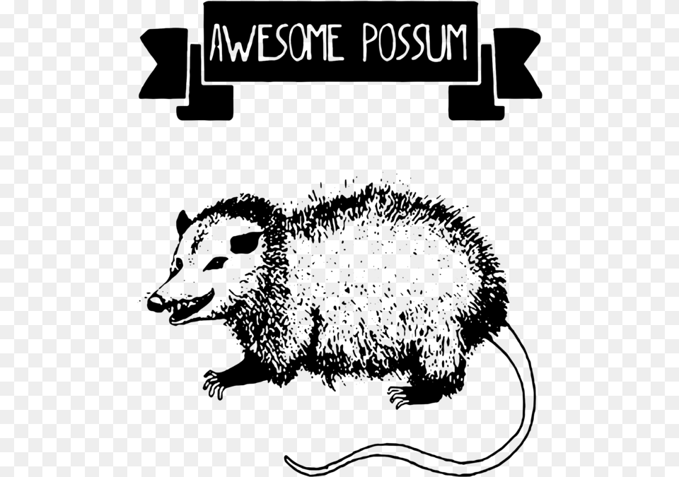 Funny Possum T Shirts, Gray Free Png