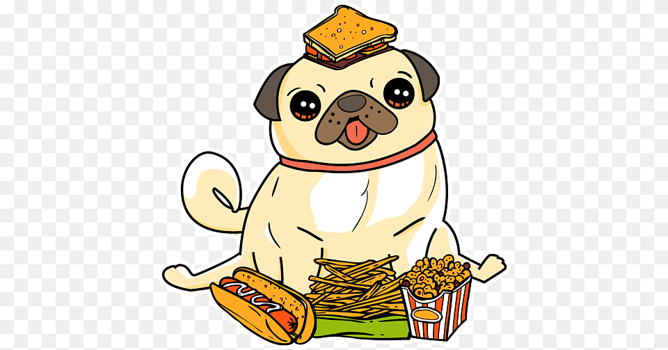 Funny Pug, Animal, Bear, Mammal, Wildlife Free Transparent Png