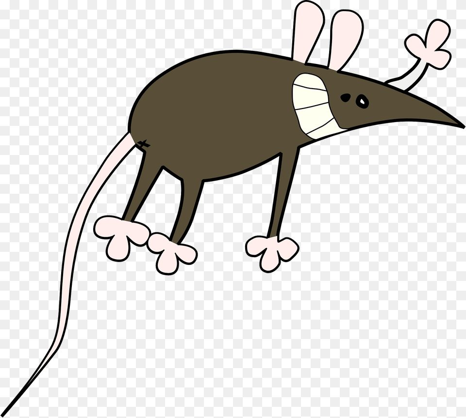 Funny Rat Clipart, Animal, Kangaroo, Mammal Free Png