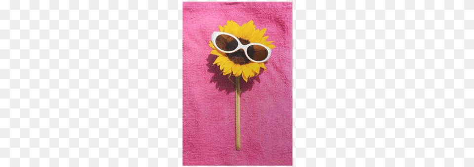 Funny Sunflower With Sunglasses On A Towel Relaxing Wallpaper, Accessories, Flower, Plant, Glasses Free Transparent Png