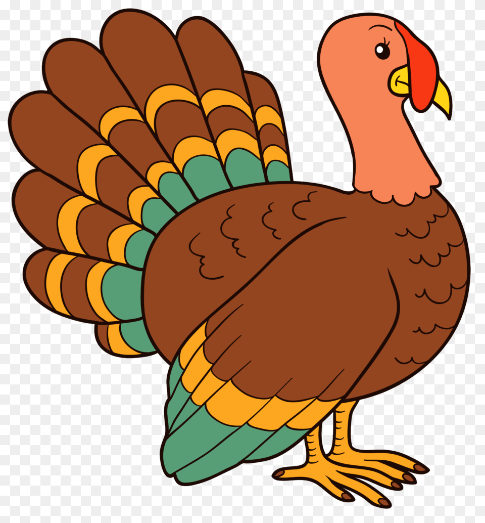 Funny Thanksgiving Clip Art Phenomenal Funny Thanksgiving, Animal, Bird, Beak, Dynamite Png Image