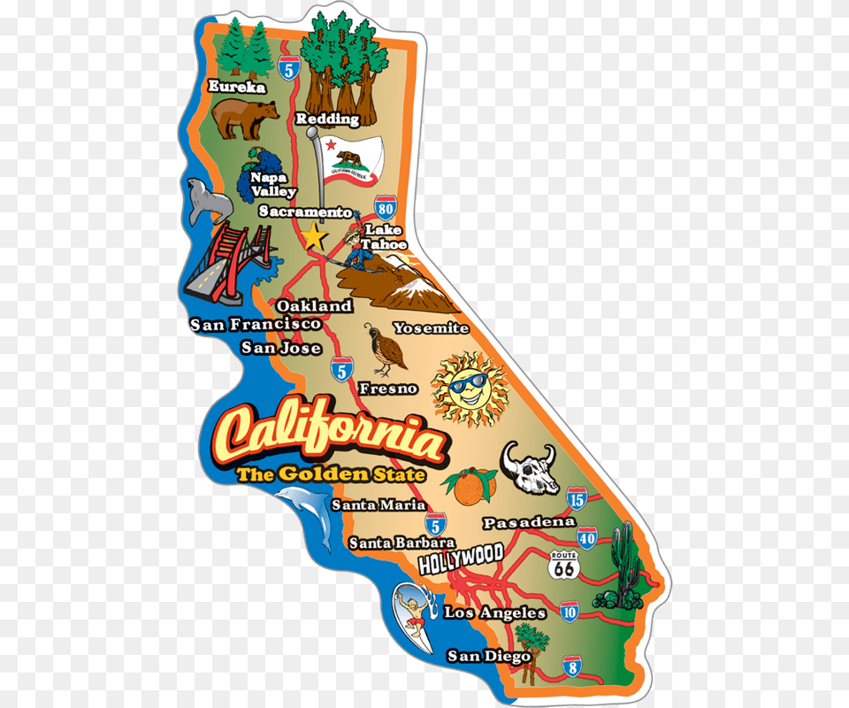 Funny Thing Here 50 States California, Animal, Bear, Mammal, Wildlife Free Png Download