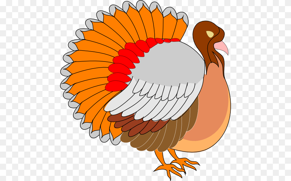 Funny Turkey Clipart, Animal, Bird Free Transparent Png