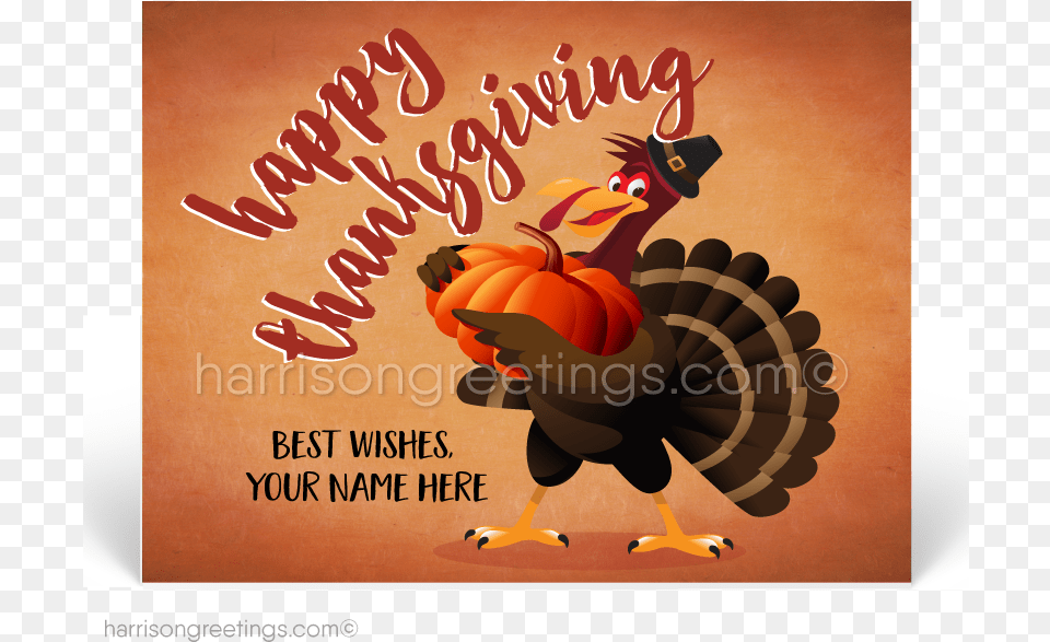 Funny Turkey Thanksgiving Postcards Greeting Card, Advertisement, Poster, Animal, Bird Png