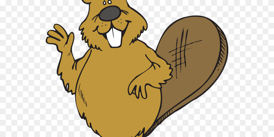 Fur Clipart Beaver Pelt, Baby, Person, Animal, Mammal Free Png Download