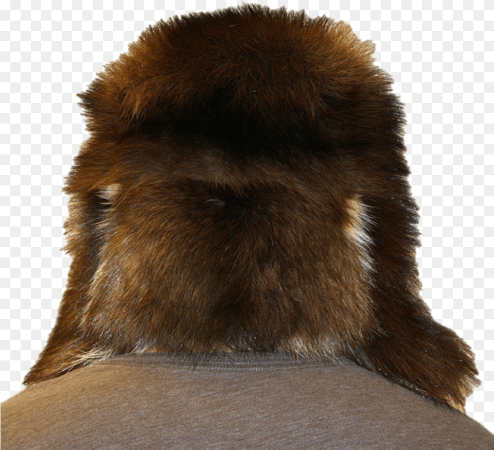 Fur Clipart Fur Clothing Ushanka Ushanka, Animal, Bear, Mammal, Wildlife Free Transparent Png