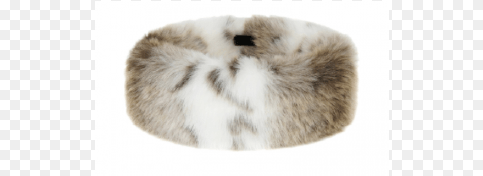 Fur Clothing, Animal, Mammal, Rat, Rodent Free Png