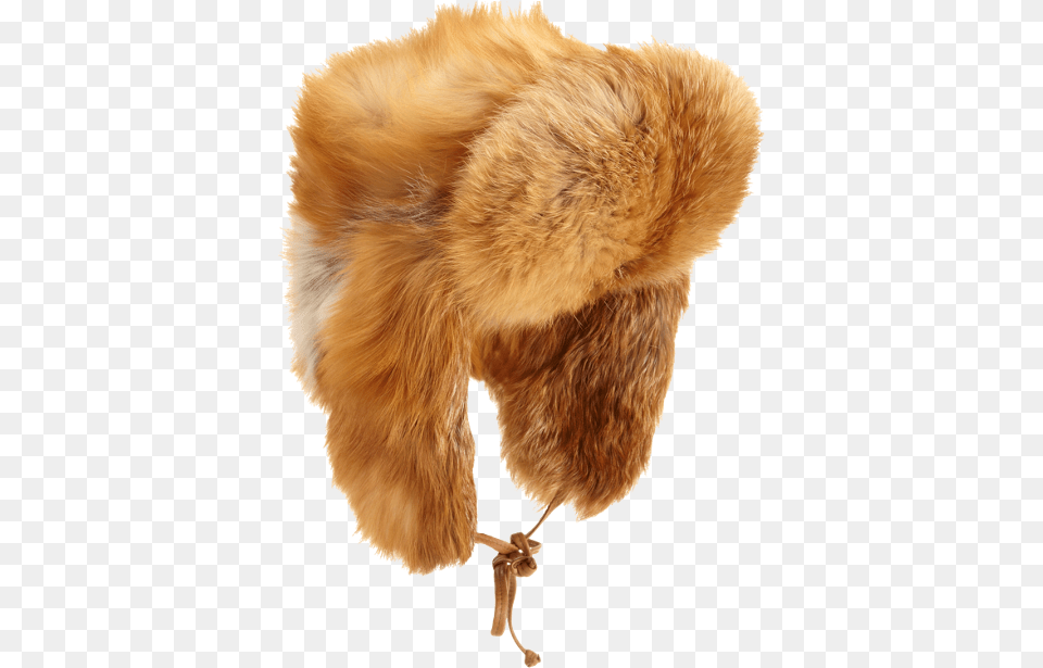 Fur Clothing, Hat, Animal, Bird Free Png Download