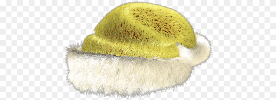 Fur Clothing, Hat, Animal, Bear, Mammal Free Transparent Png