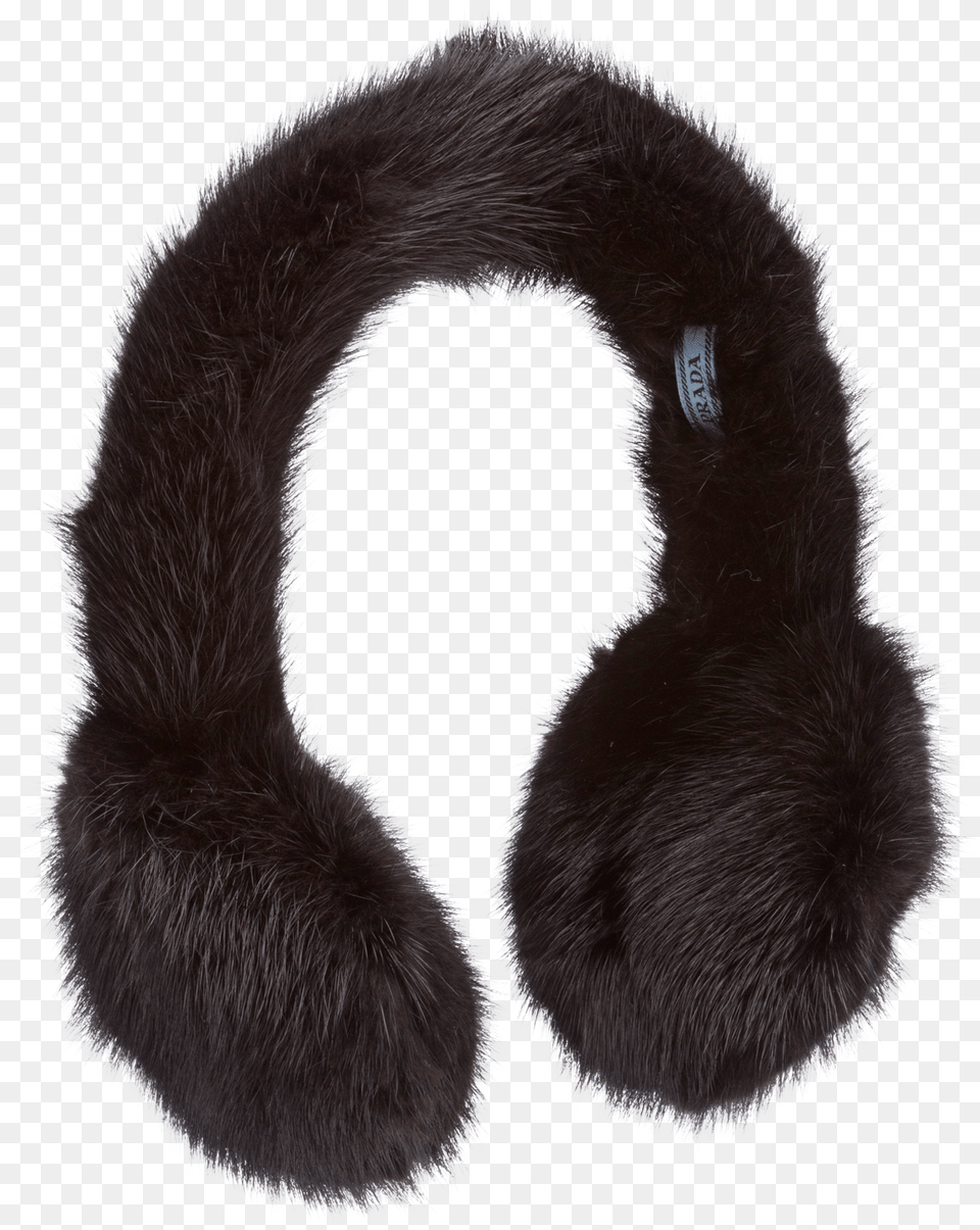 Fur Clothing, Animal, Bear, Mammal, Wildlife Png