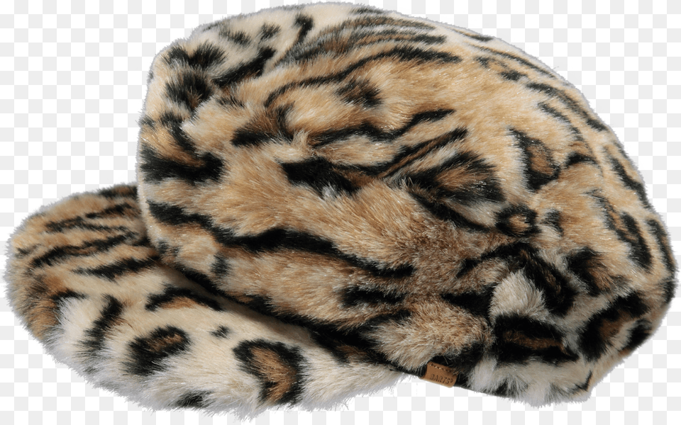 Fur Clothing, Cap, Hat, Animal, Mammal Png