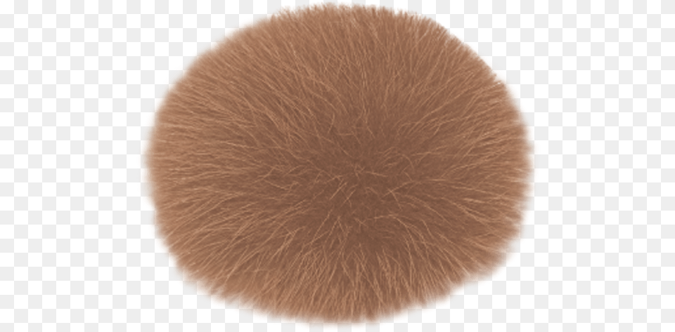 Fur Clothing, Cushion, Home Decor, Fungus, Plant Png