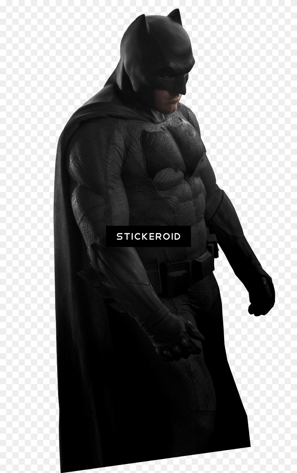 Fur Clothing Fur Clothing, Batman, Adult, Female, Person Png Image