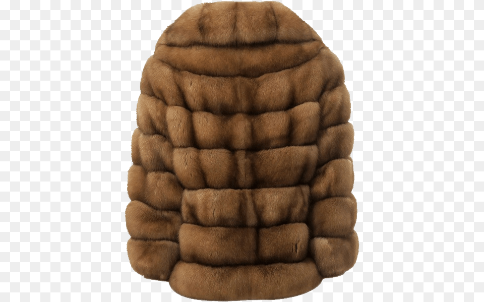 Fur Coat, Clothing, Animal, Bear, Mammal Free Transparent Png