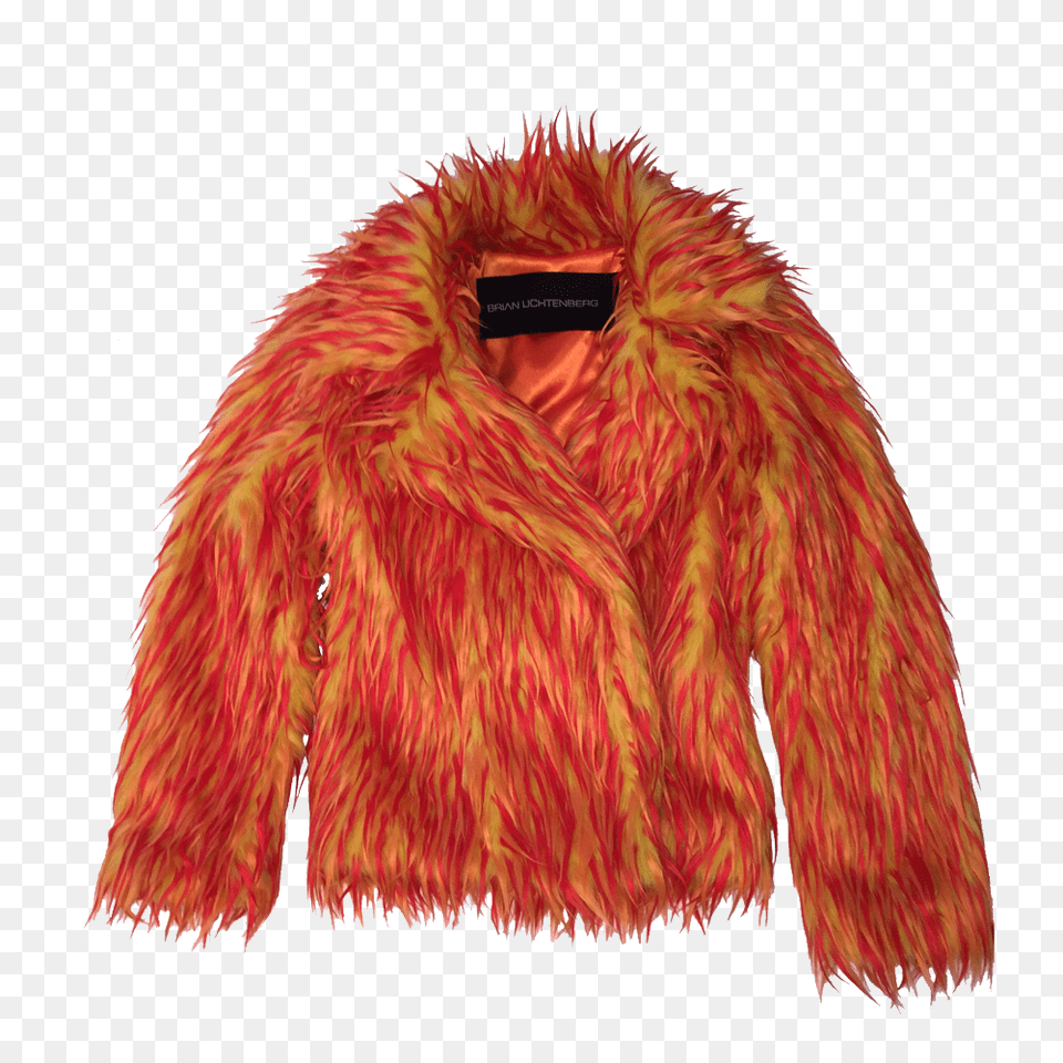 Fur Coat, Clothing, Jacket, Animal, Bird Png