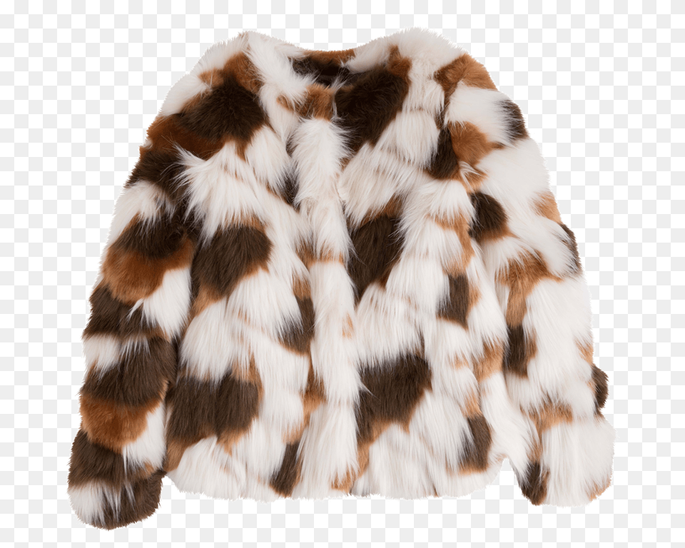 Fur Coat, Clothing, Animal, Canine, Dog Png Image