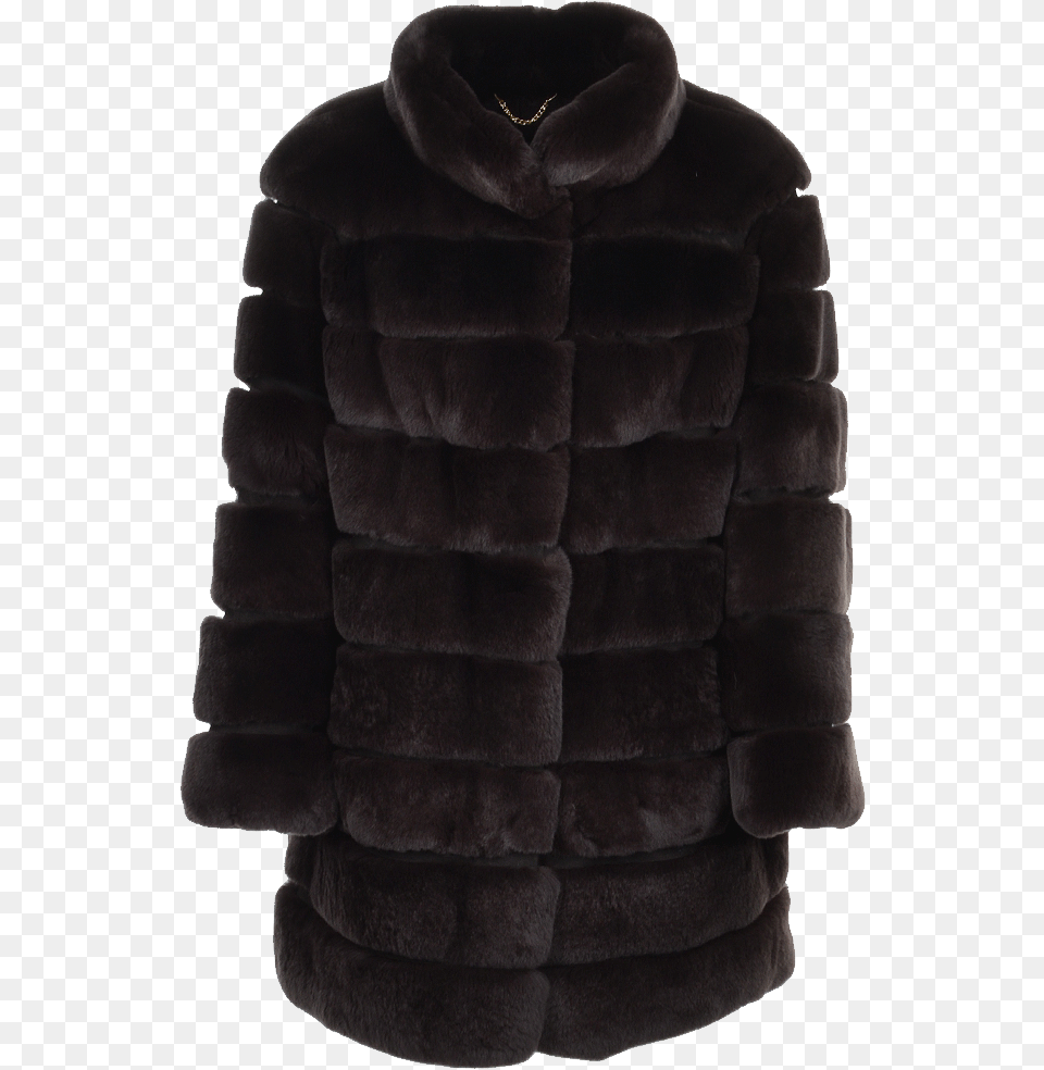 Fur Coat, Clothing, Jacket, Animal, Bear Png Image
