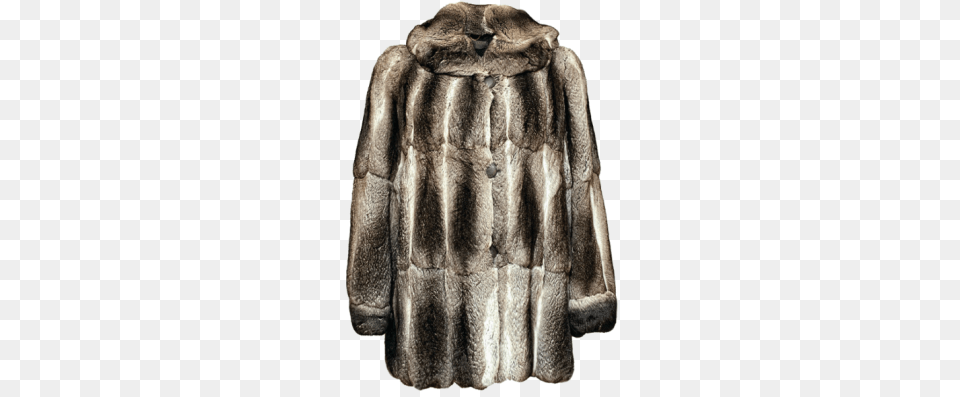 Fur Coat, Clothing, Animal, Bear, Mammal Free Png Download