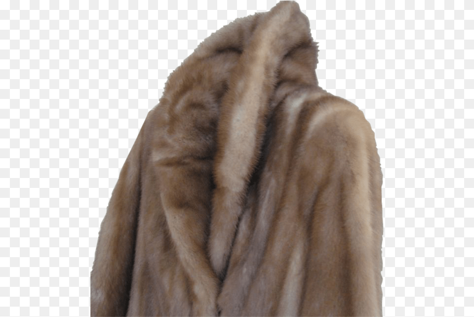 Fur Coat Image Fur Clothing, Animal, Bear, Mammal, Wildlife Png