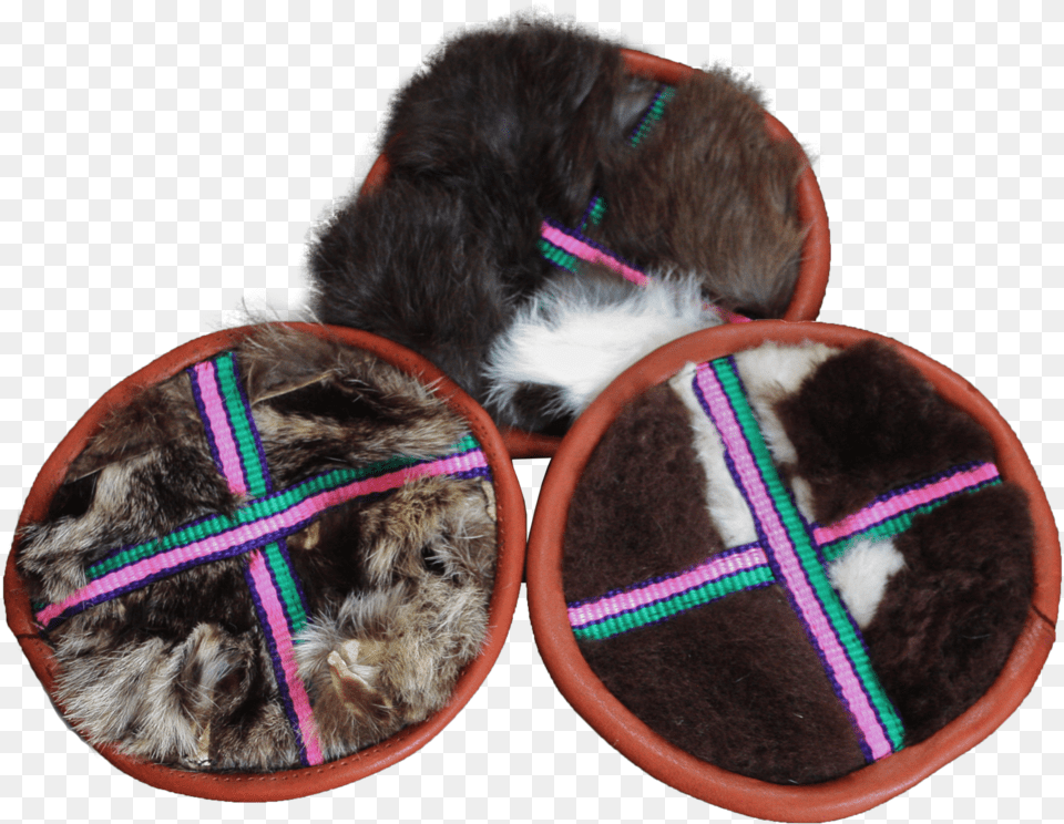 Fur Flinger Dog Toy Download Companion Dog, Animal, Canine, Mammal, Pet Png Image