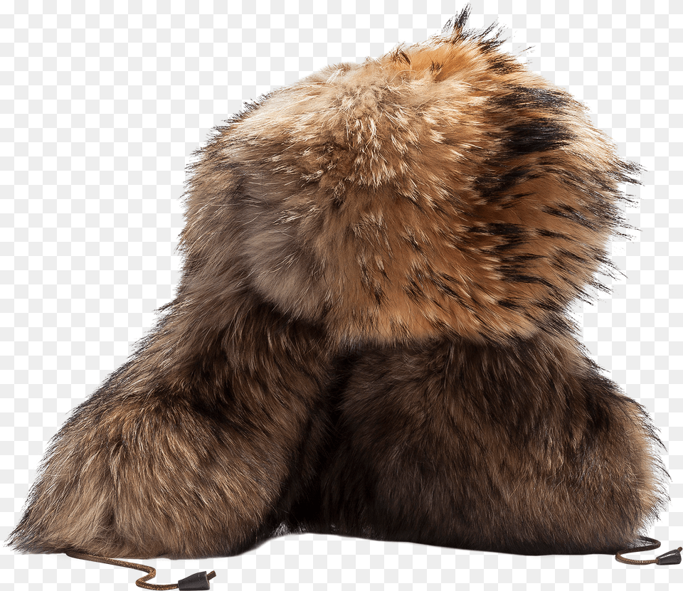 Fur Hat 2850itemprop Contenturl Dsquared Fur Hat, Clothing, Animal, Bear, Mammal Free Png