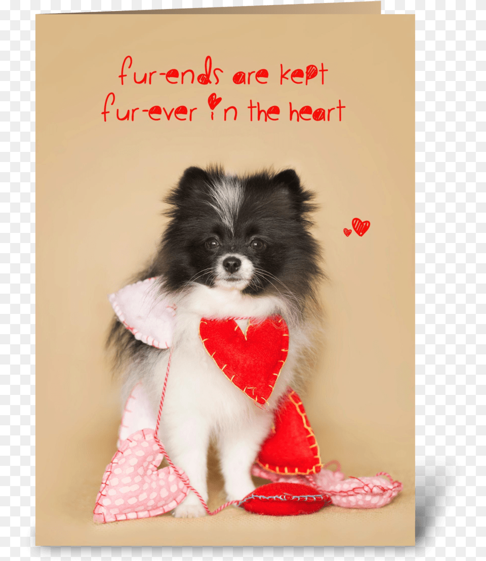 Furends Furever Puppy Hearts Greeting Card Companion Dog, Animal, Canine, Mammal, Pet Png