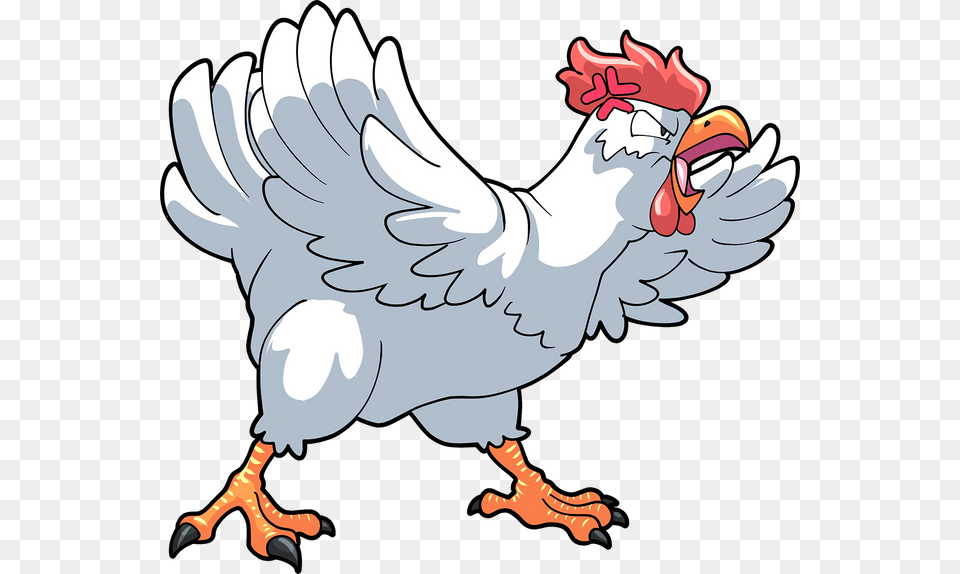 Furious Chicken, Person, Animal, Bird, Fowl Png