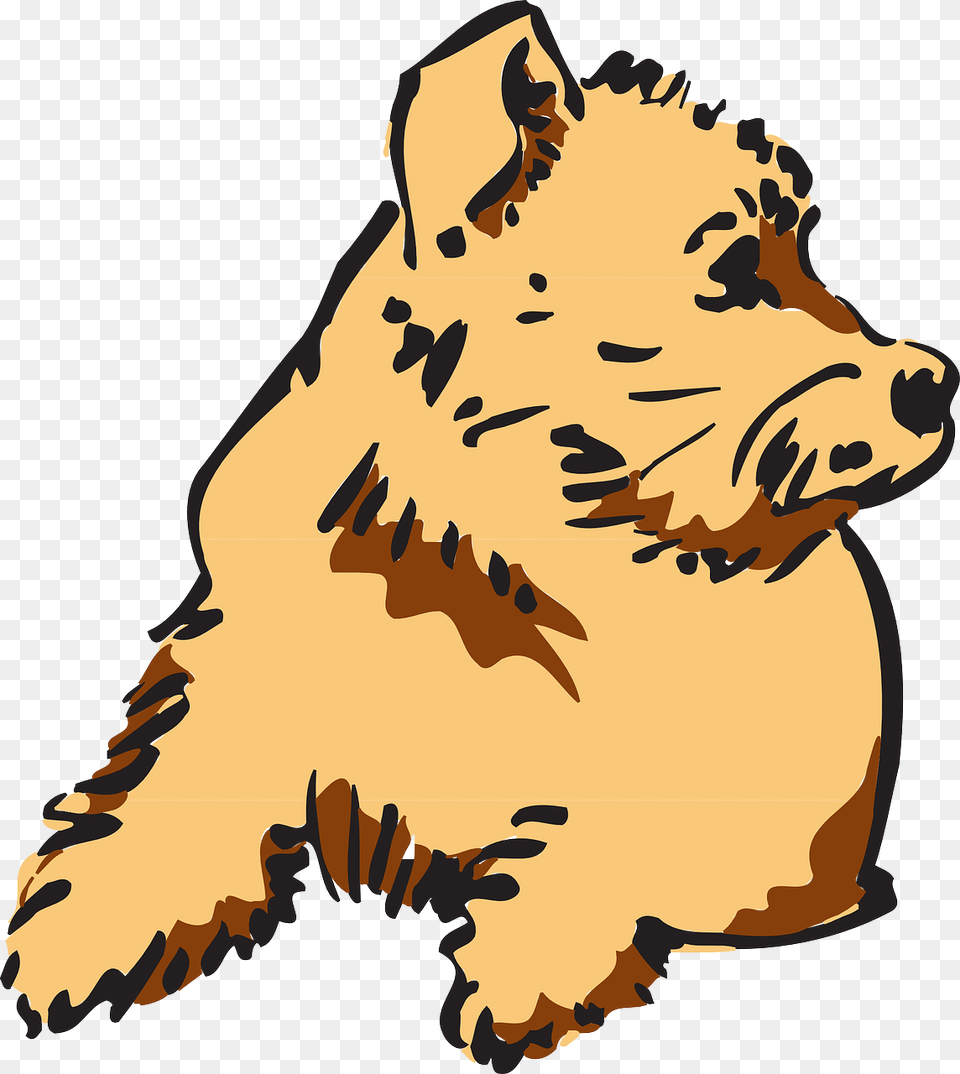 Furry Clip Art, Person, Baby, Animal, Mammal Png