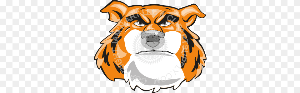 Furry Tiger Head Front, Snout, Person, Animal, Lion Png Image