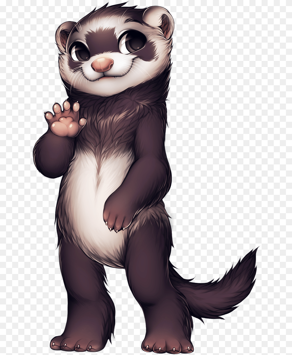 Furvilla Ferret, Baby, Person, Animal, Face Png
