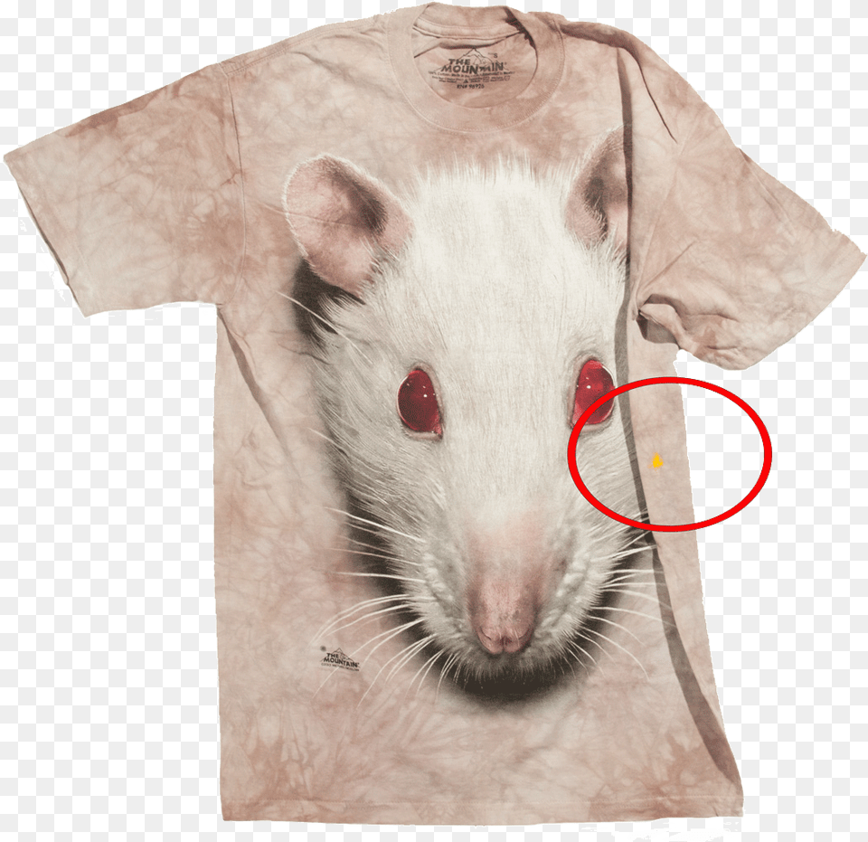 Futbolka S Defektom Big Face White Rat Foto Cena Rat, Clothing, T-shirt, Animal, Mammal Png Image