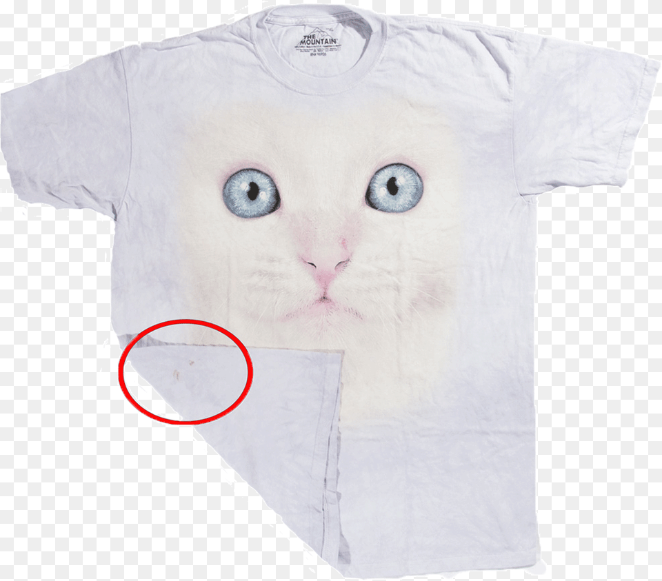 Futbolka S Defektom White Kitten Face, Clothing, T-shirt, Shirt, Toy Png