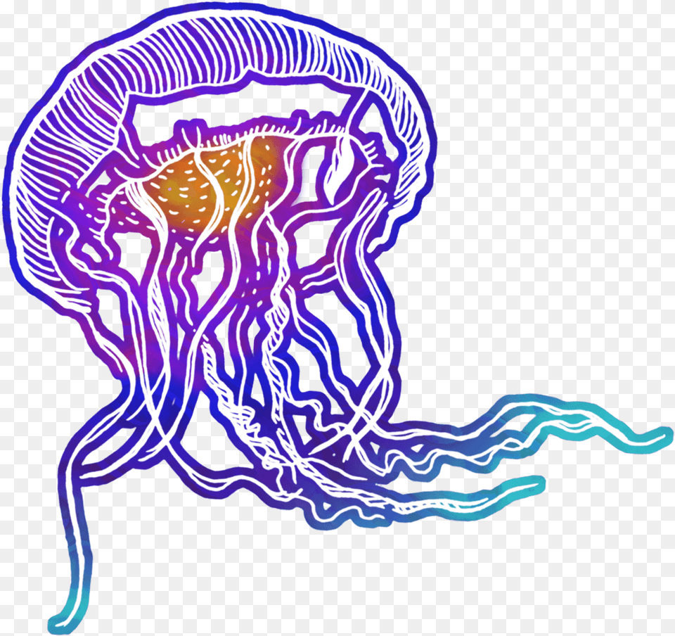 Future Ecologies Podcast Bioluminescence, Animal, Sea Life, Invertebrate, Jellyfish Free Png