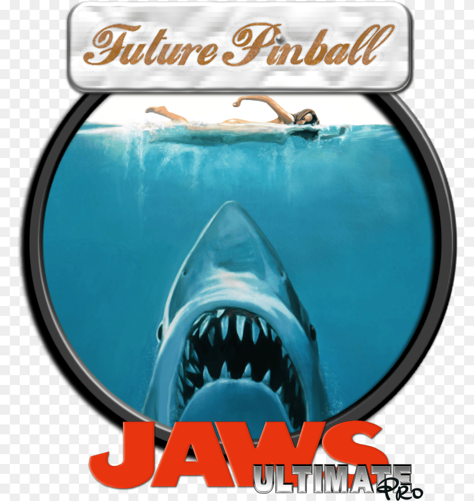 Future Pinball Docklets 35 Game Clear Logos Launchbox Jaws 1975, Animal, Sea Life, Fish, Shark Png Image