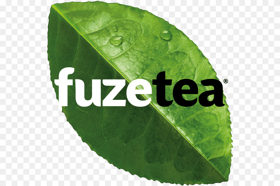 Fuze Tea Varieties Logo Fuze Tea, Leaf, Plant Free Png