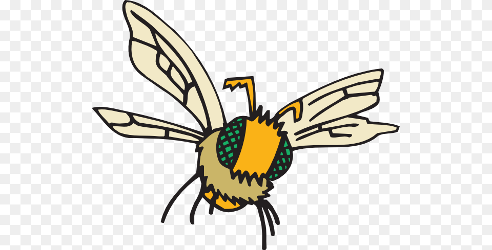 Fuzzy Bee Clip Art, Animal, Invertebrate, Insect, Wasp Free Transparent Png